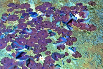 F 025B